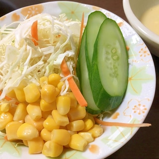 レモン風味のマヨドレが美味しい☆野菜サラダ